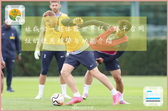 让我们一起体验世界杯买球平台网址的使用趋势与功能介绍