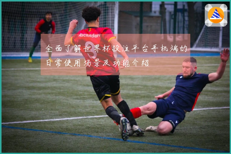 全面了解世界杯投注平台手机端的日常使用场景及功能介绍