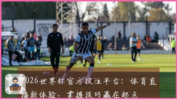 2026世界杯官方投注平台:体育直播新体验,掌握技巧赢在起点