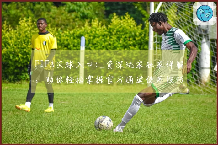 FIFA买球入口：资深玩家独家详解，助你轻松掌握官方通道使用技巧