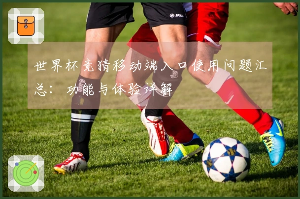 世界杯竞猜移动端入口使用问题汇总：功能与体验详解