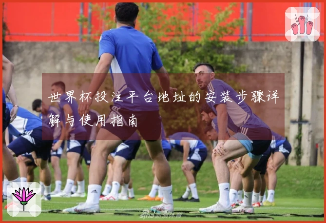 世界杯投注平台地址的安装步骤详解与使用指南