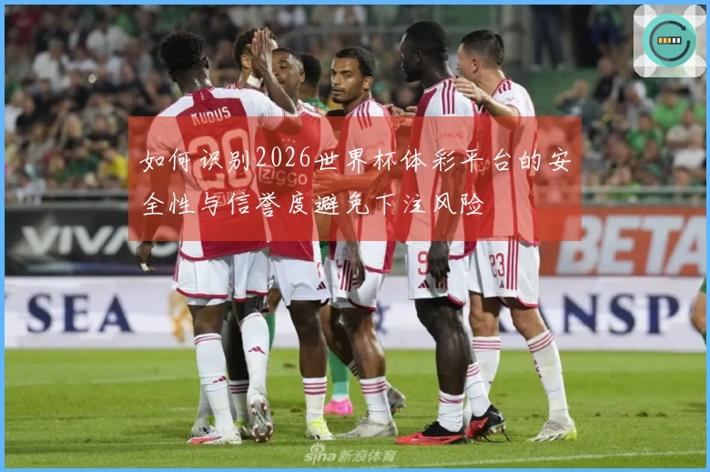 如何识别2026世界杯体彩平台的安全性与信誉度避免下注风险