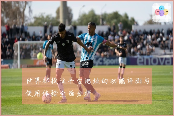 世界杯投注平台地址的功能评测与使用体验全面分析