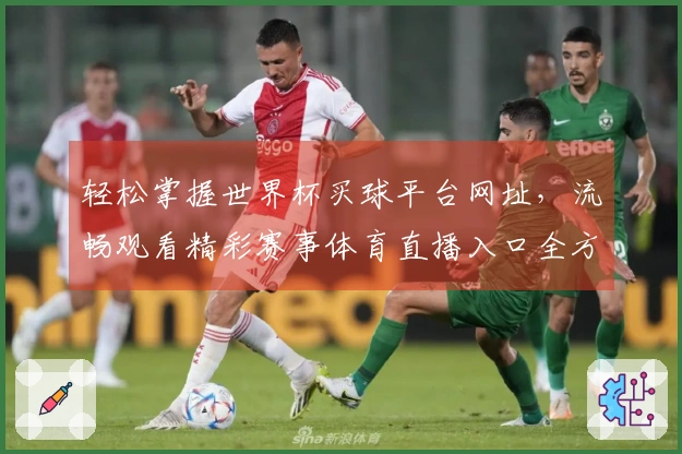 轻松掌握世界杯买球平台网址，流畅观看精彩赛事体育直播入口全方位指南