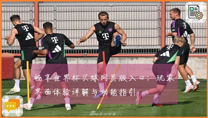 畅享世界杯买球网页版入口：玩家界面体验详解与功能指引